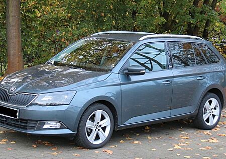 Skoda Fabia gebraucht kaufen Skoda Fabia 1.2l TSI 66kW Joy-6 Monate Gewährleistung