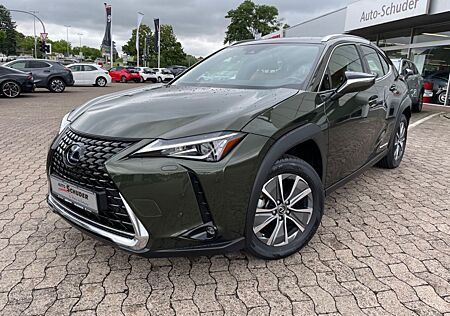 Lexus UX 300e **EXECUTIVE PAKET**