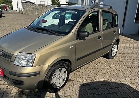 Fiat Panda 1.2 8V Dynamic(TÜV 07,2027) KLIMA