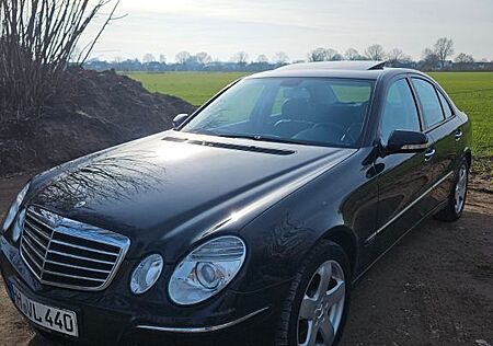 Mercedes-Benz E 220 gebraucht kaufen Mercedes-Benz E 220 CDI W211 AVANTGARDE