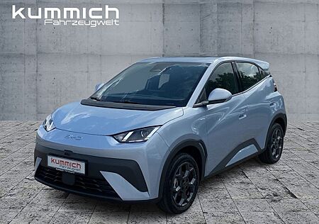 BYD DOLPHIN SURF Boost