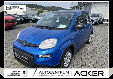 Fiat Panda gebraucht kaufen Fiat Panda NEU 1.0 GSE Hybrid DAB Klima City-Paket