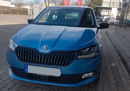 Skoda Fabia Soleil 110 PS 1. Hand, PDC, LED, ACC