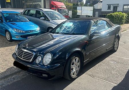 Mercedes-Benz CLK 200 Avantgarde Cabrio Klima SHZ