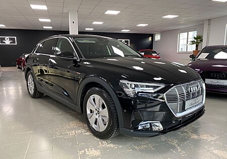 Audi e-tron 50 quattro basis/Rückfahrkamera/Navi/LED