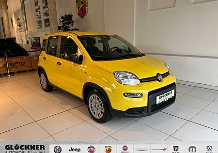 Fiat Panda Pandina