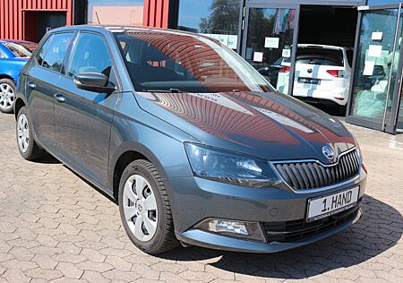 Skoda Fabia 1.2 TSi Ambition, 1.Hand, abn. AHK, Klima,