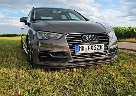 Audi A3 1.4 TFSI e-tron S tronic Ambition SB Ambition