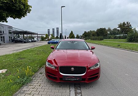 Jaguar XE Pure/1. HAND/8FACH ALU/TOP GEPFLEGT/EURO6