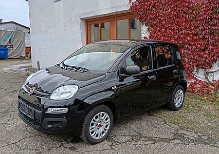 Fiat New Panda 1.2 8V EASY
