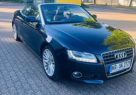 Audi A5 1.8 TFSI multitronic Cabriolet Rückfahrkamera