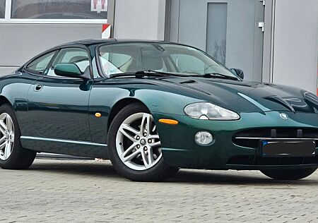 Jaguar XK XK8 Vollleder Klima Shzg MFL Ohne Rost
