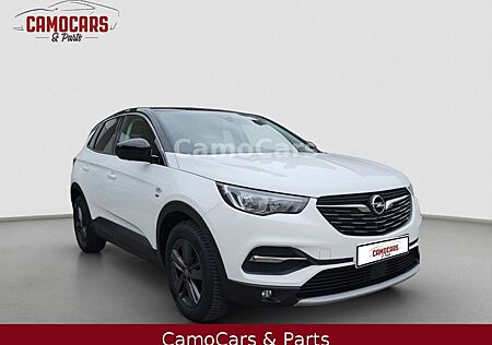 Opel Grandland X 120 Jahre Klima IntelliLink Kamera