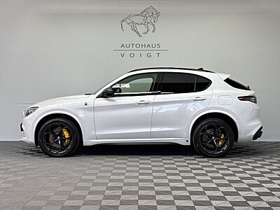Alfa Romeo Stelvio Quadrifoglio Q4|AKRAPOVIC|PANO|Schale|