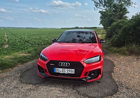 Audi RS5 2.9 TFSI tiptronic quattro B+O Panoramadach