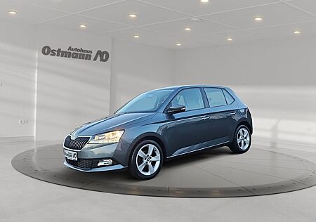 Skoda Fabia 1.0 TSI Cool Plus Facelift LM PDC SHZ