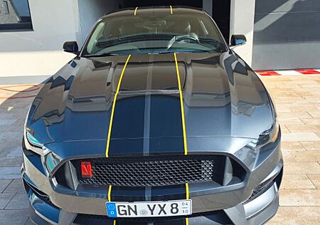Ford Mustang Performance Shelby GT