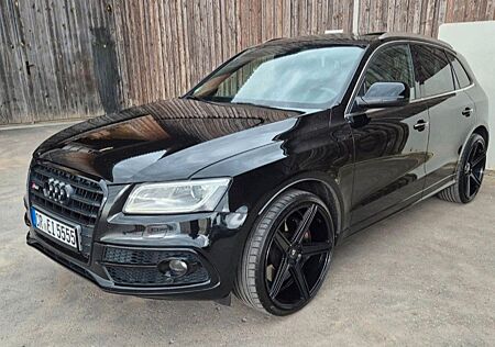 Audi SQ5 gebraucht kaufen Audi SQ5 3.0 TDI tiptronic,quattro,Pano,Kamera,ACC