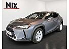 Lexus UX UX250h Amazing Edition KAMERA NAVI SHZ KLIMA