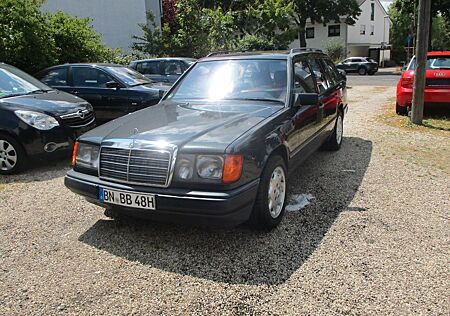 Mercedes-Benz 230 T H Kennzeichen