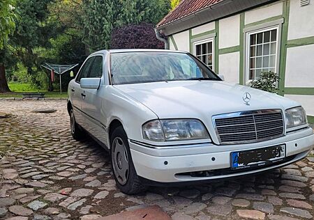 Mercedes-Benz C 250 Mercedes Benz Diesel W202 Elegance