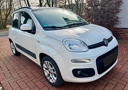 Fiat Panda zu verkaufen