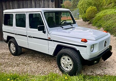 Mercedes-Benz G 300 Mercedes G Klasse 300 gd Lang 463 H Kennzeichen