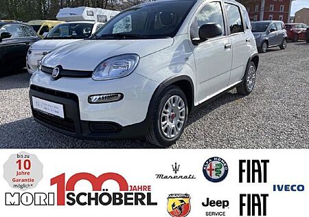 Fiat Panda Base
