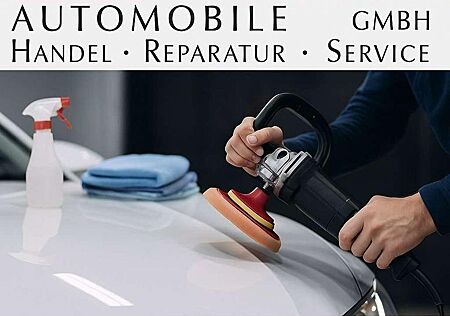 Skoda Fabia Combi Ambition Tempomat PDC CarPlay Androi