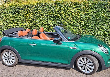 Mini Cooper Cabrio Cooper