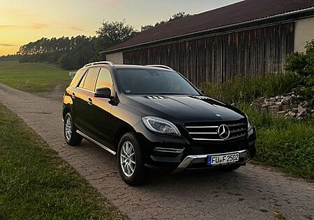 Mercedes-Benz ML 350 Allrad, Kamera, selbstklebende Systeme