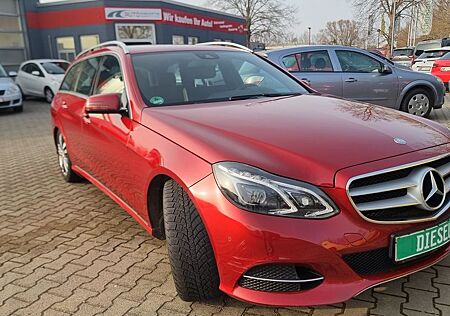 Mercedes-Benz E 250 CDi BlueTEC T-Modell / Kombi
