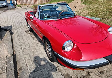Alfa Romeo Spider