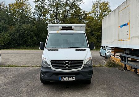 Mercedes-Benz Sprinter 316 CDI mit Kühlwagen | TÜV bis 07/27