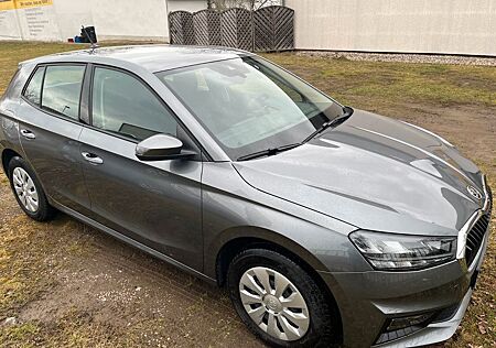 Skoda Fabia Ambition SHZ LED Full Link eFH el Spiegel