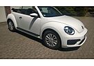 VW Beetle Volkswagen 1.2 TSI Design Cabrio, 6.272 km !! 1.HAND