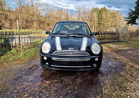 Mini Cooper 8fach Berreift, Panoramadach