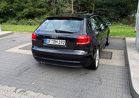 Audi A3 8P 2.0 TDI 125kW quattro Ambition