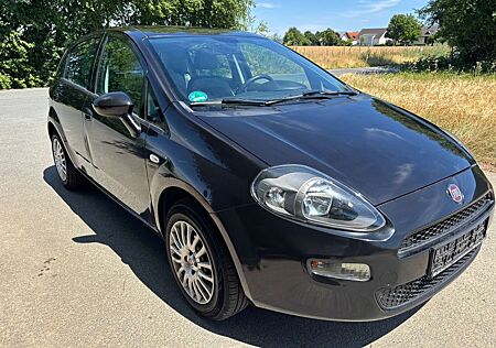 Fiat Punto More