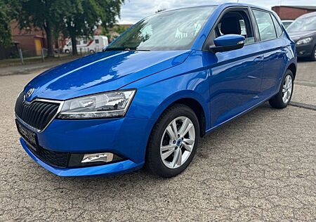 Skoda Fabia Ambition (Erste Hand)