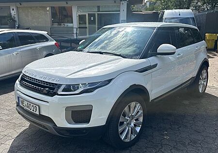 Rover Andere