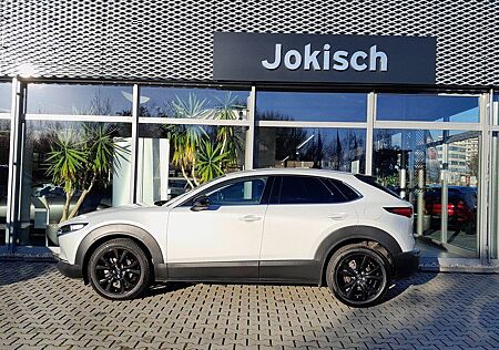 Mazda CX-30 e-SKY-G (140PS) FWD Homura NAVI HEAD-UP LE