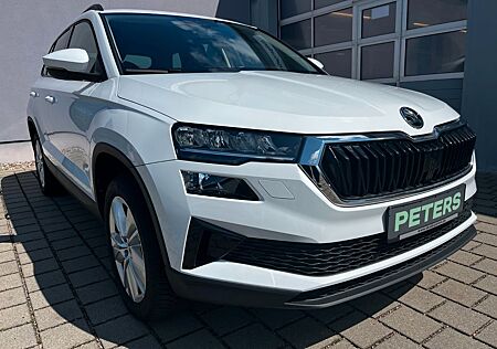 Skoda Karoq ACT Selection FSE PDC Navi Rückfahrkamera