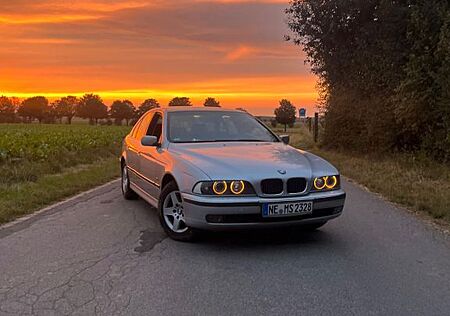 BMW 523i *Tüv Neu *Viele Neue Teile* Top Gepflegt