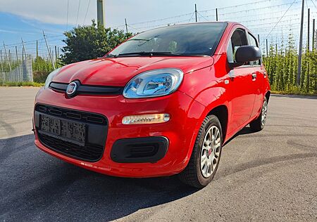 Fiat Panda Easy 1.2i / KLIMA / +4917623433360