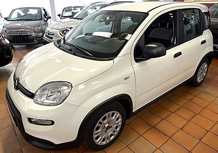 Fiat Panda Base