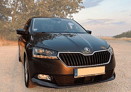 Skoda Fabia STYLE Kamera,Klima, SHZ, MFL,LED, CarPlay
