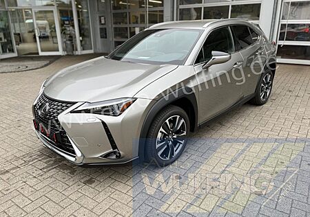 Lexus UX 250h HYBRID Autom. Premium Plus Leder ACC