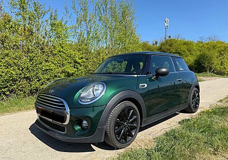 Mini ONE Blackyard Blackyard