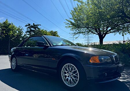BMW 320 3 Cabrio Ci TÜV 06-2025/LEDER/SHZ